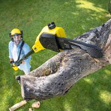 Best Tree Removal Services  in Rothschild, WI